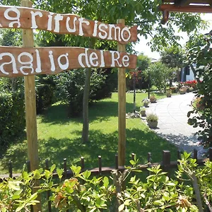 Taglio Del Re Jesolo